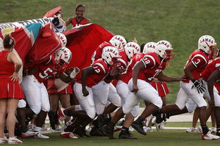 重庆队获得连胜,充满斗志,重庆队主场 第3张 重庆队获得连胜,充满斗志,重庆队主场 第3张